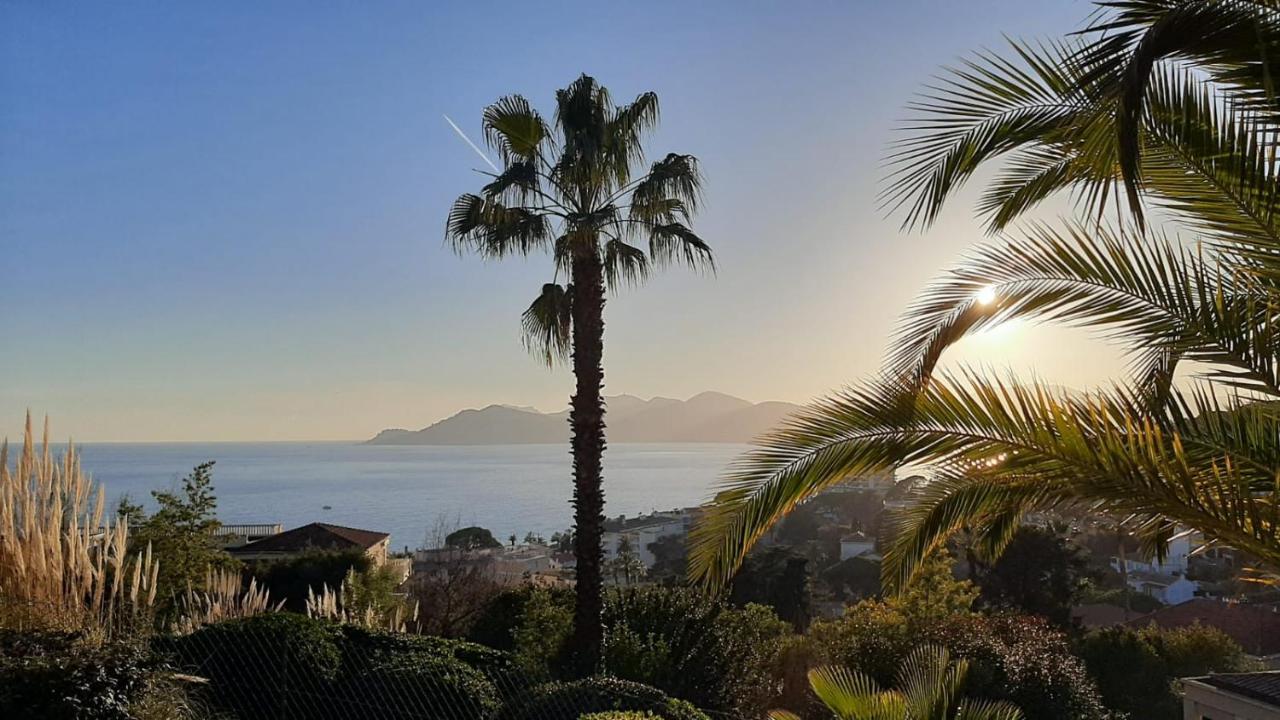 Cannes & More מראה חיצוני תמונה