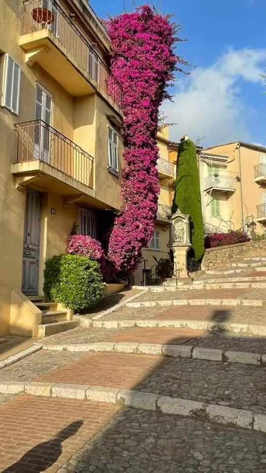 Cannes & More מראה חיצוני תמונה